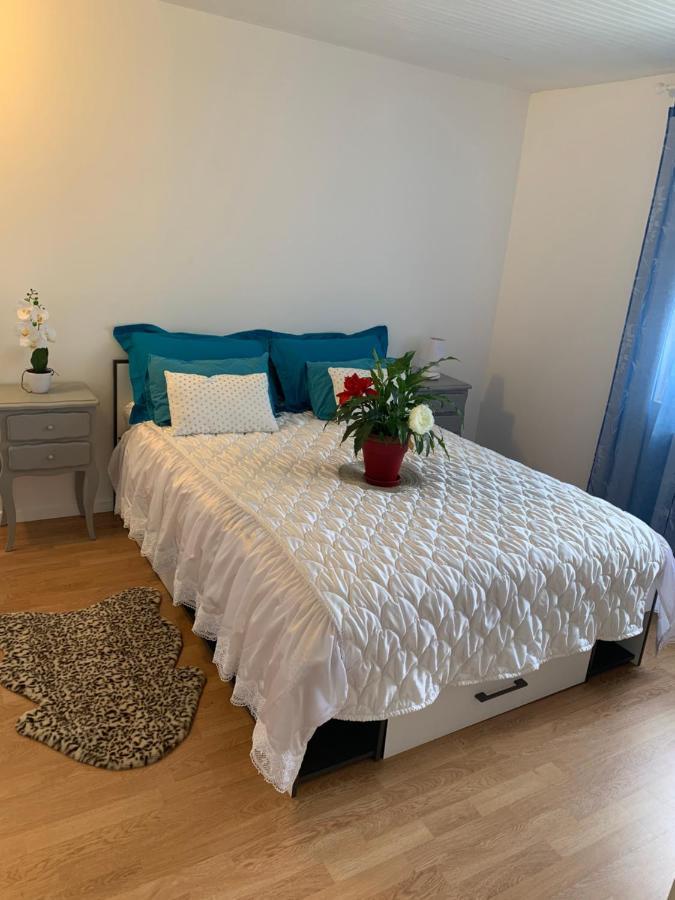 Belle Maison avec jardin RDC T3 de 70m2 Vacances ou cure thermale Rochefort Extérieur photo